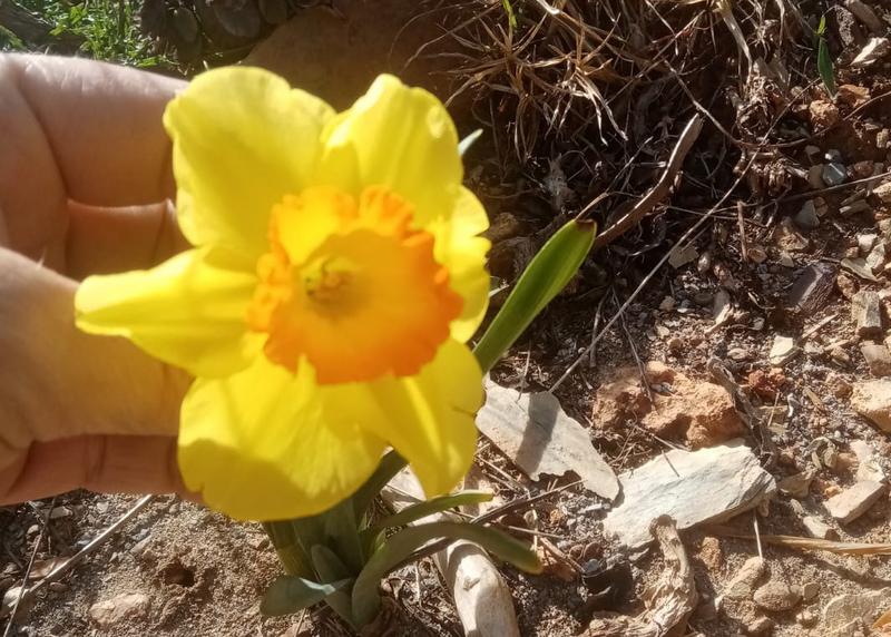 3 Bedroom Property for Sale in Oudtshoorn Rural Western Cape